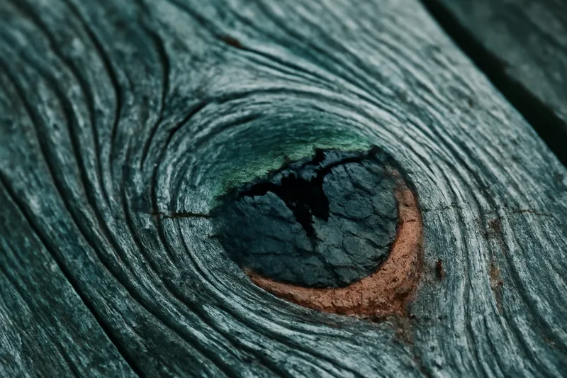 Gros plan sur le grain marqué d'une vieille planche et un nœud aux contours évocateurs.
