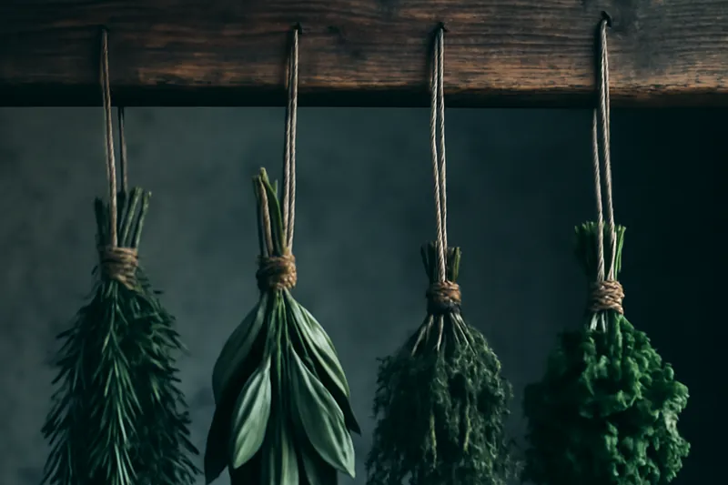 Fagots d'herbes aromatiques européennes suspendus pour le séchage.